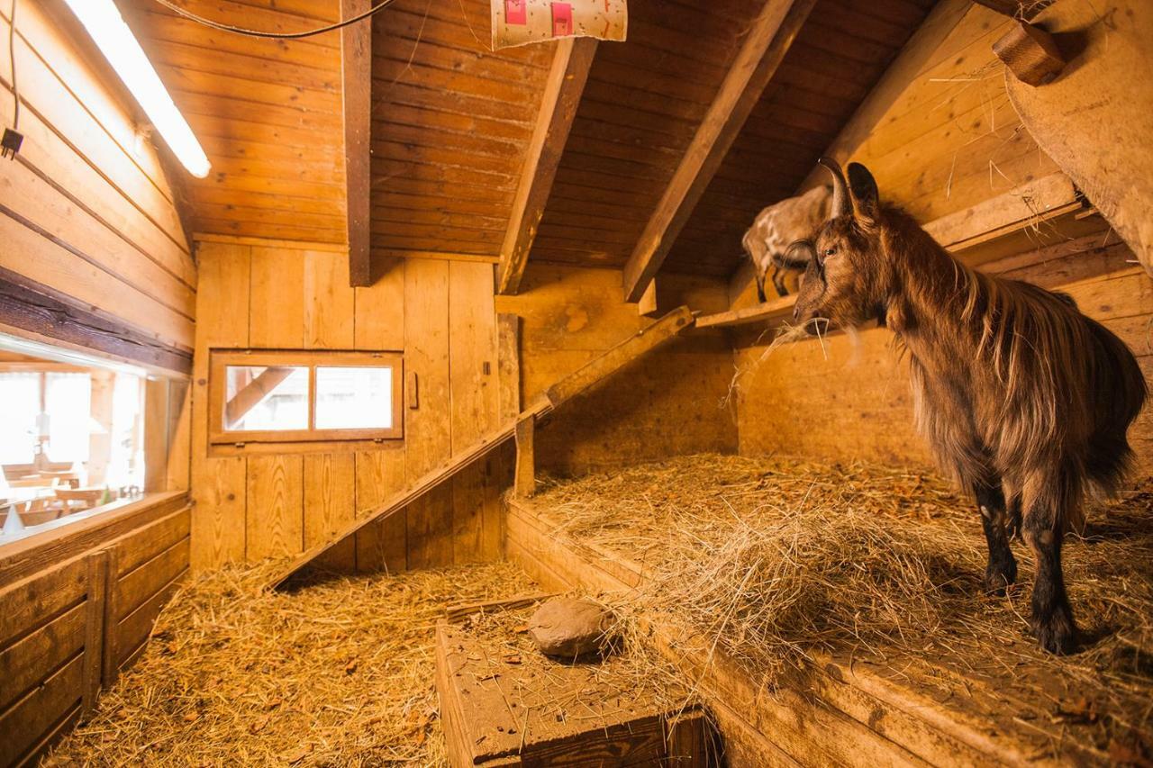 Hotel Restaurant Schonau Wildhaus Eksteriør bilde